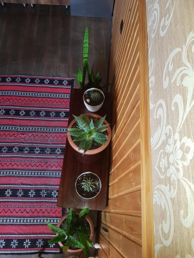 Готель Cozy House Kazbegi Екстер'єр фото